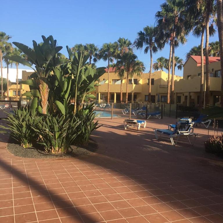 Oasis Royal - Apartamento de 1 dormitorio - 15