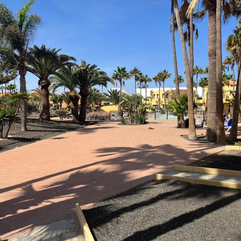 Oasis Royal - Apartamento de 1 dormitorio - 14