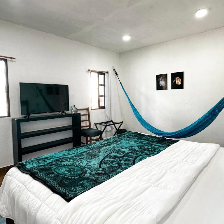 La Perle Noire - Dive Hotel Cozumel - Habitación con cama extragrande. - 15