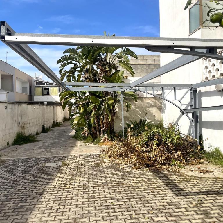 Villa Ciccarese dentro la spiaggia - Villa with Sea View - 28