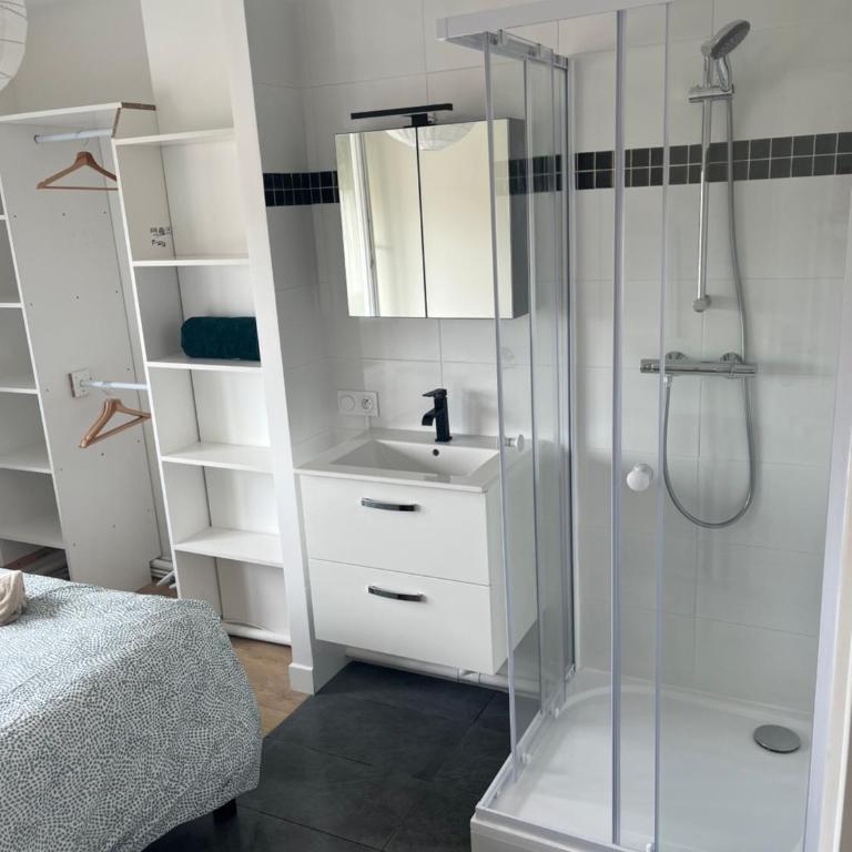 Grand appartement Standing reims centre Arena - Apartment mit 1 Schlafzimmer - 3