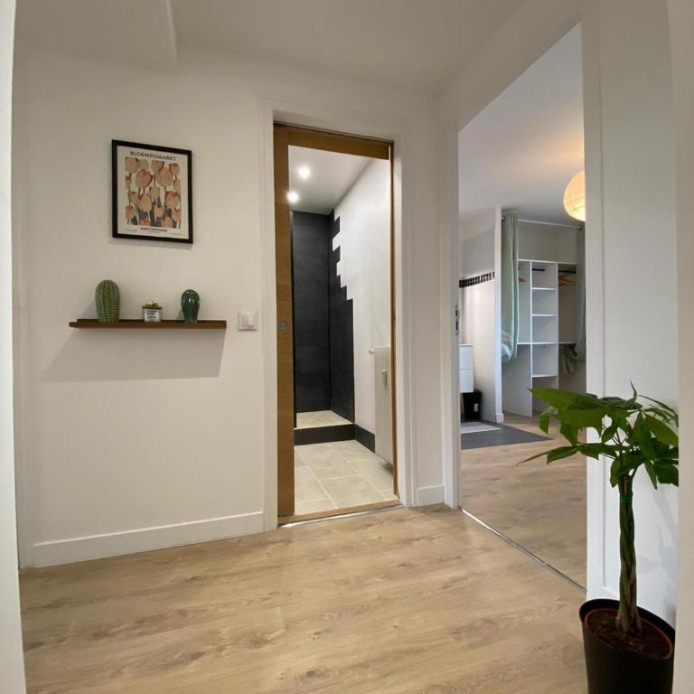 Grand appartement Standing reims centre Arena - Apartment mit 1 Schlafzimmer - 4