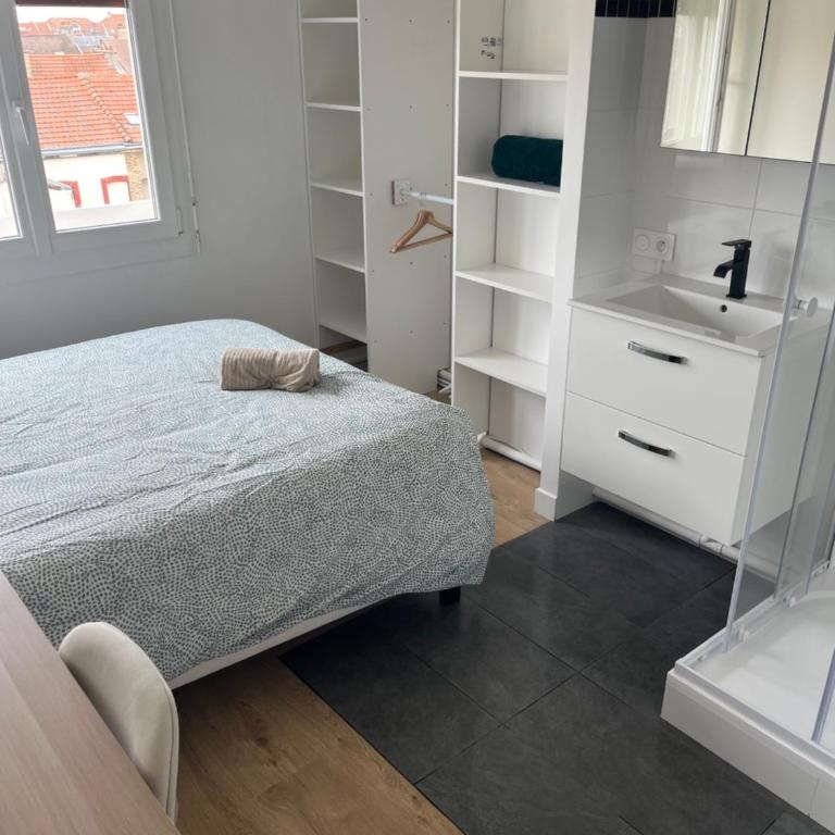 Grand appartement Standing reims centre Arena - Apartment mit 1 Schlafzimmer - 12