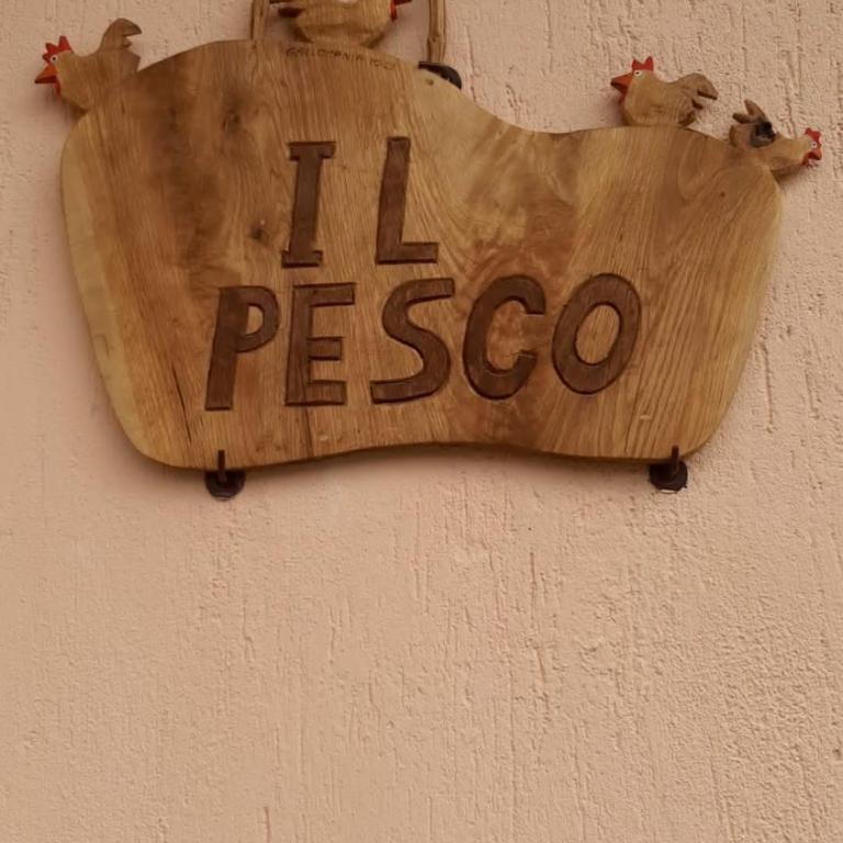 Il Pesco - CIR 0024 - Studio - 10