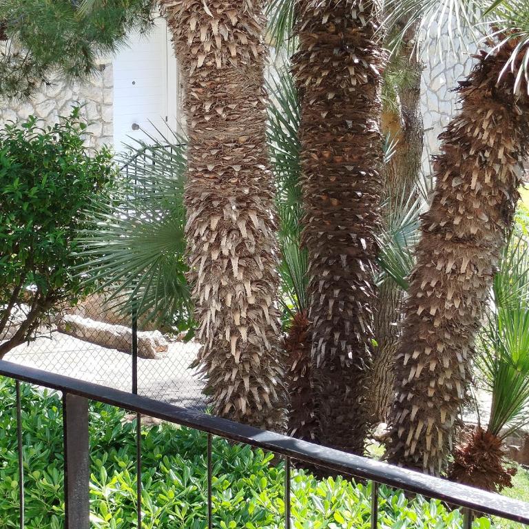Brisa del Mar - Apartamento de 2 dormitorios - 10