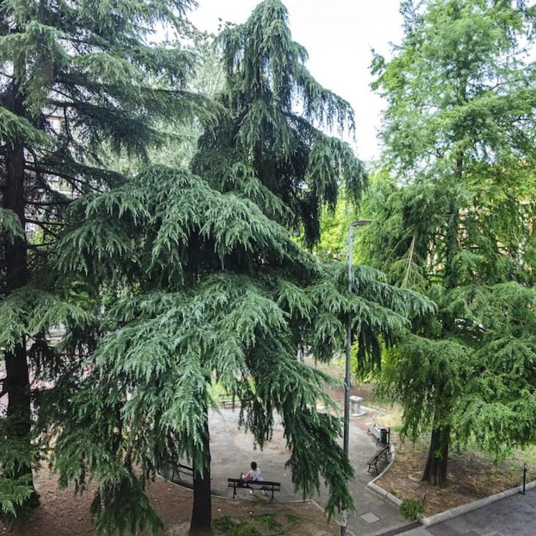 Bolognina Home - Appartamento - 21