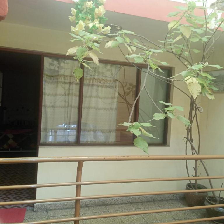 Hostal La Realeza - Habitación Triple con baño privado - 3