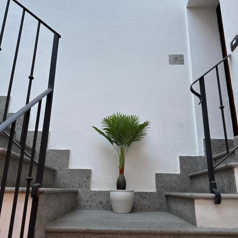 Guest House Palazzo Bussi - Appartamento su 2 Livelli - 19