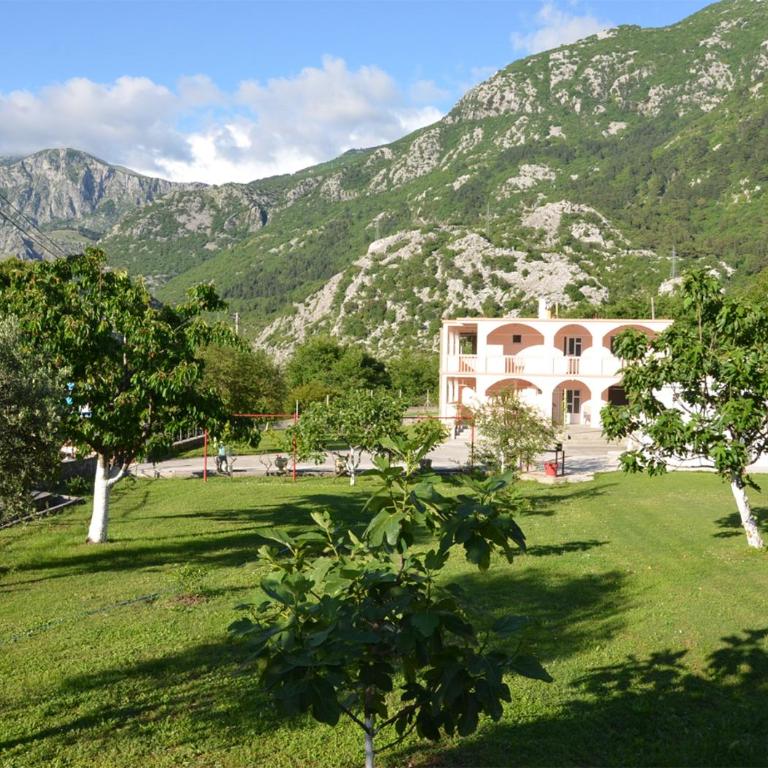 Apartment Vista Verde Kotor - Apartman sa 2 Spavaće Sobe i Pogledom na Vrt - 5