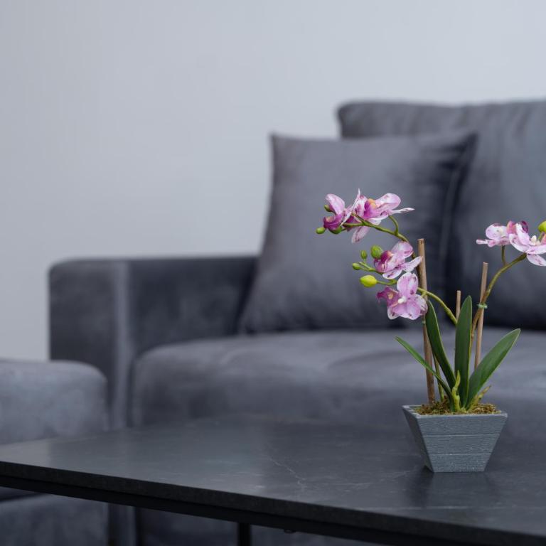 Azzurro City Sarajevo - Studio Apartman - 21