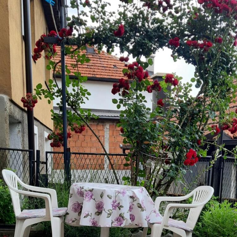 Sunset Apartment - Apartman sa 1 Spavaćom Sobom - 22