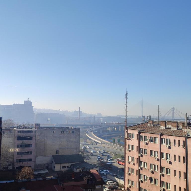 Blue Sparrow, city center studio - Studio - 58