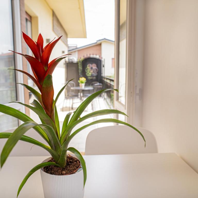 Bergamini 23 Lake Garda - Appartamento con Balcone - 17