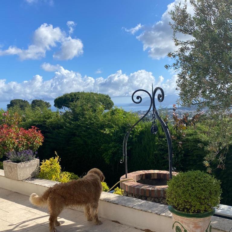 La Pastourelle - Villa - Vue sur Mer - 6