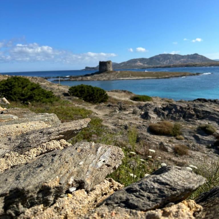 Stintino vista mare l'ancora - Casa Vacanze - 17