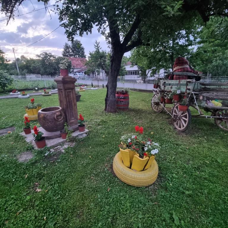 Hacijenda Milosavljević - Kuća sa 2 Spavaće Sobe - 12