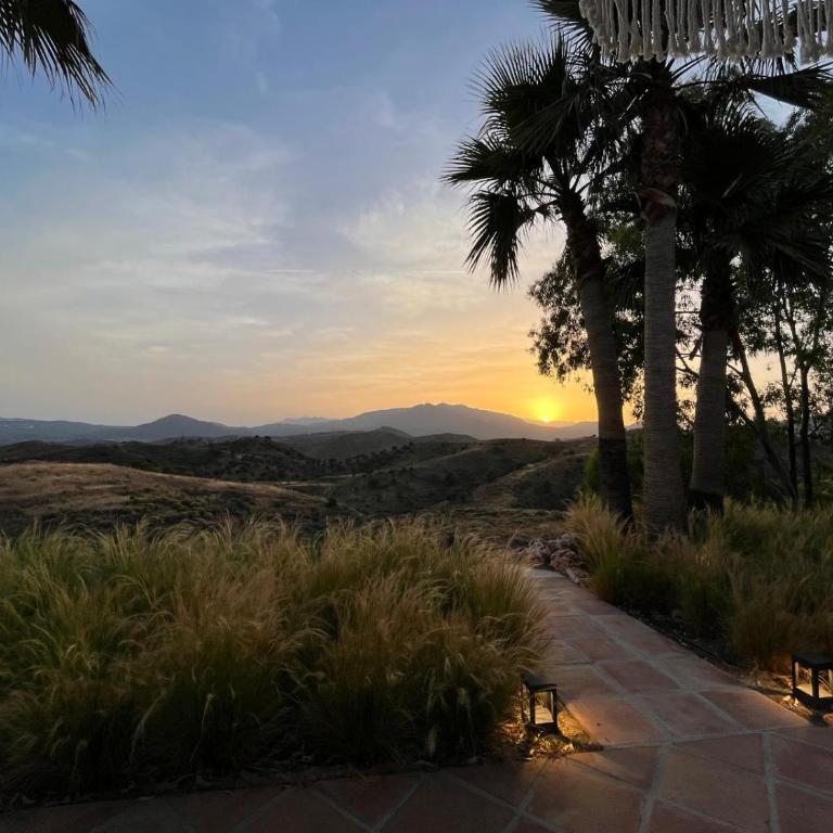 Finca Mis Alas - Villa - 41