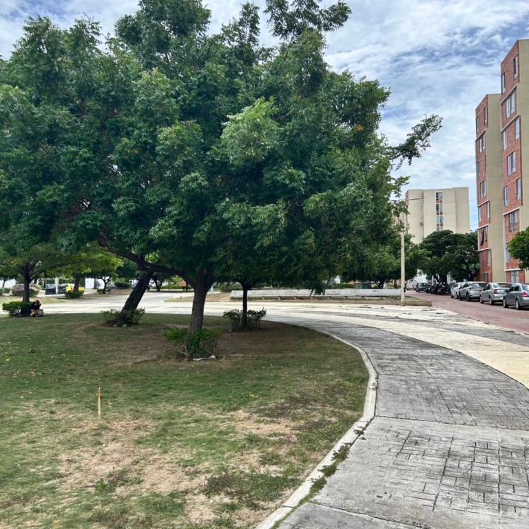 Cómodo apartamento 3 habitaciones - One-Bedroom Apartment - 9