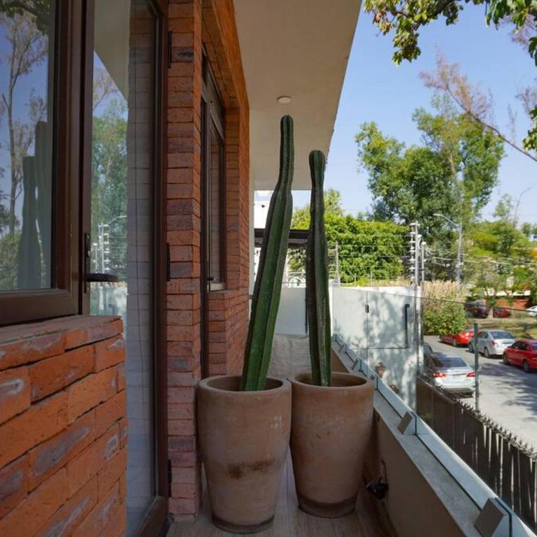 Casa Nawuales - Terraza - Guadalajara céntrico - Casa de 4 dormitorios - 16