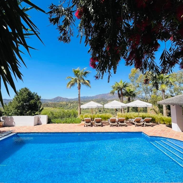 Finca Mis Alas - Villa - 1