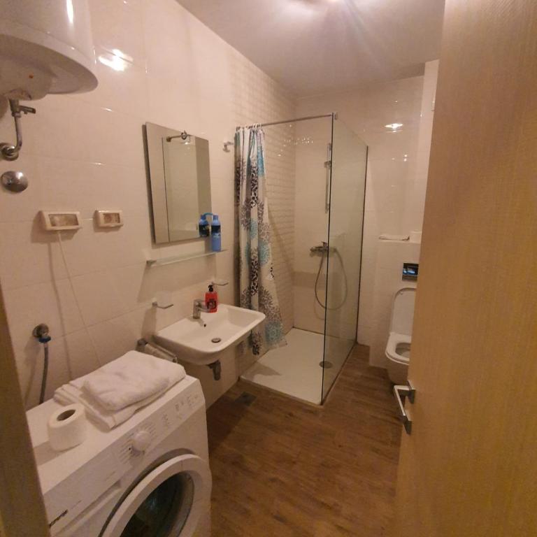 Arina apartment - Apartman sa 1 Spavaćom Sobom - 9