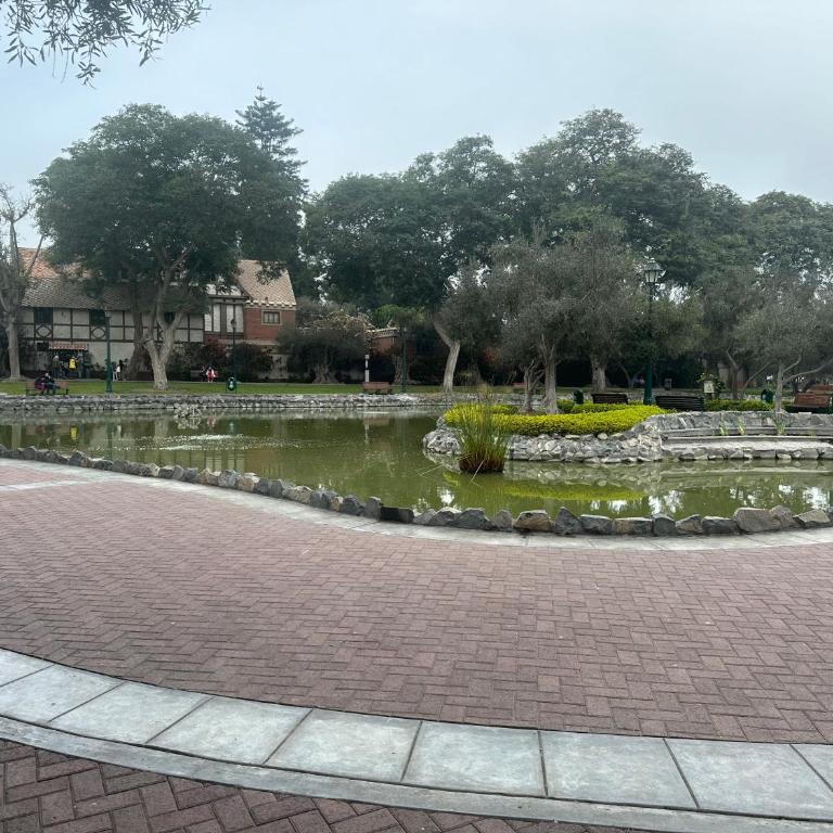 Olivar San Isidro 1 Bedroom Apartment - One-Bedroom Apartment - 14