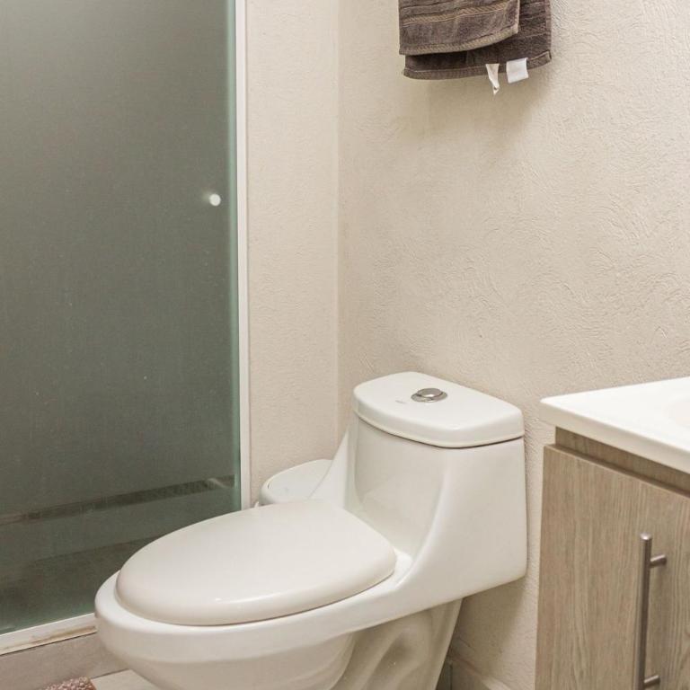 Departamento céntrico cerca de IMSS HC vil y CUCS - Apartamento - 27
