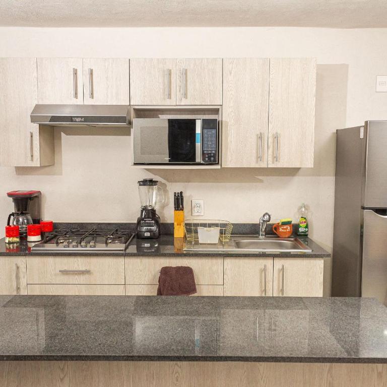 Departamento céntrico cerca de IMSS HC vil y CUCS - Apartamento - 33