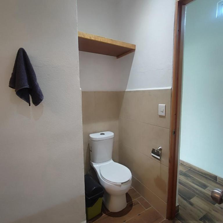 Adelfa Suites - King Apartment with Terrace - 4