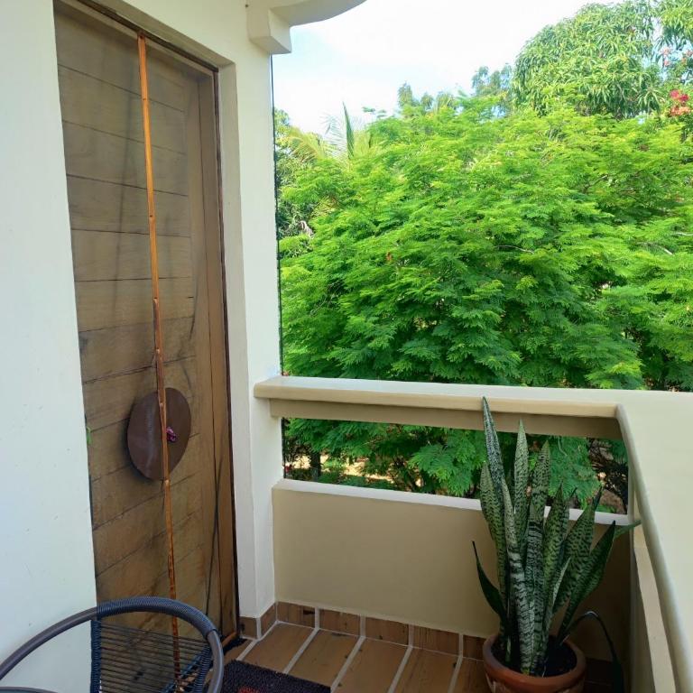 Adelfa Suites - King Apartment with Terrace - 5