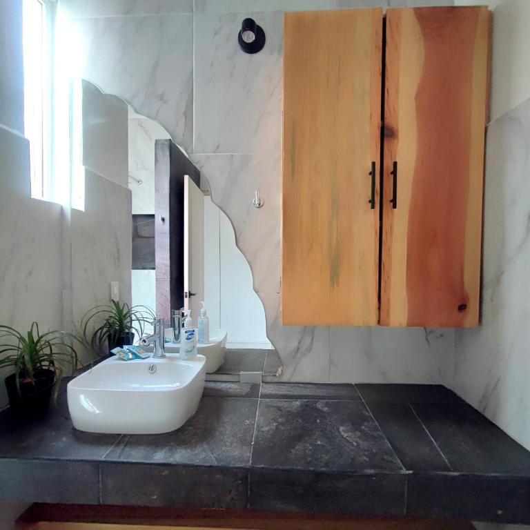 Adelfa Suites - Queen Apartment with Terrace - 7