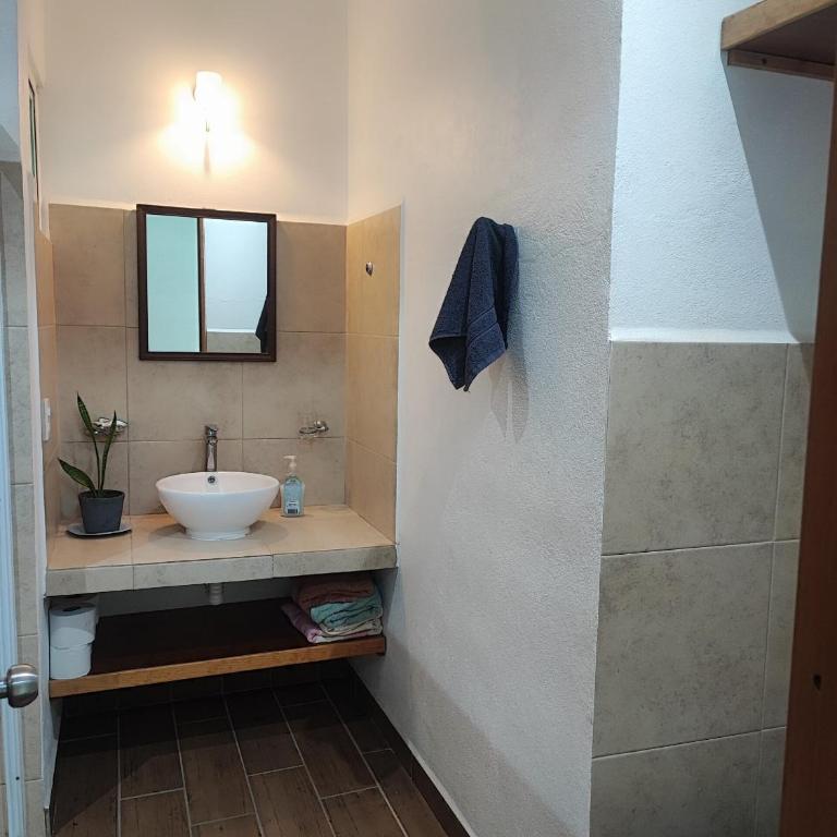 Adelfa Suites - Estudio Estándar - 7