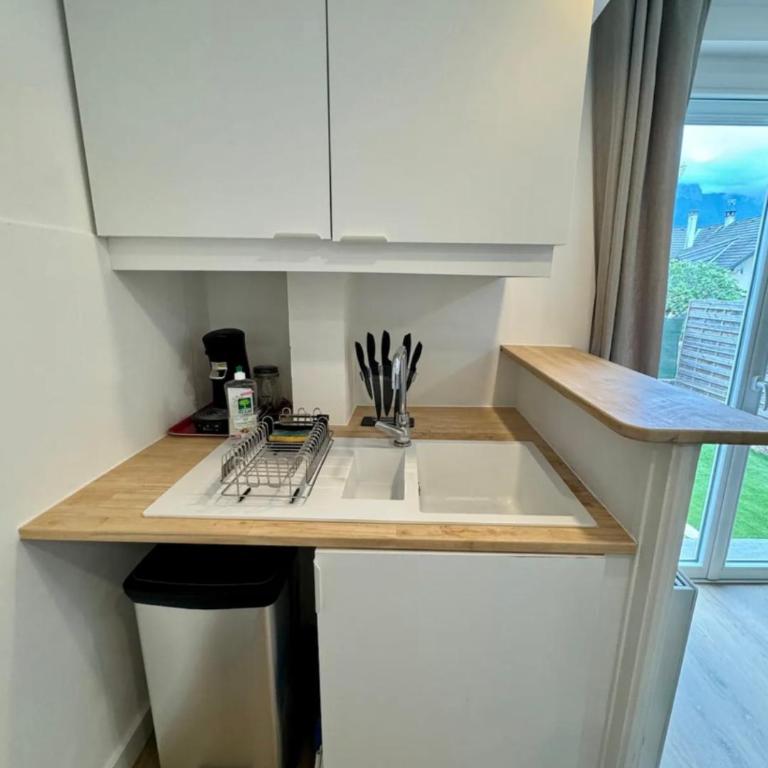 Studio avec jardin proche lac - Appartement 1 Chambre - 3