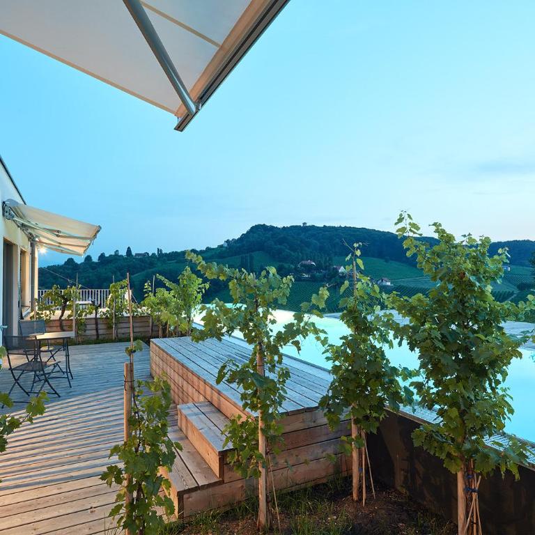 RELAX APARTMENTS An der Lage Hochgraßnitzberg - Studio mit Poolblick - 10
