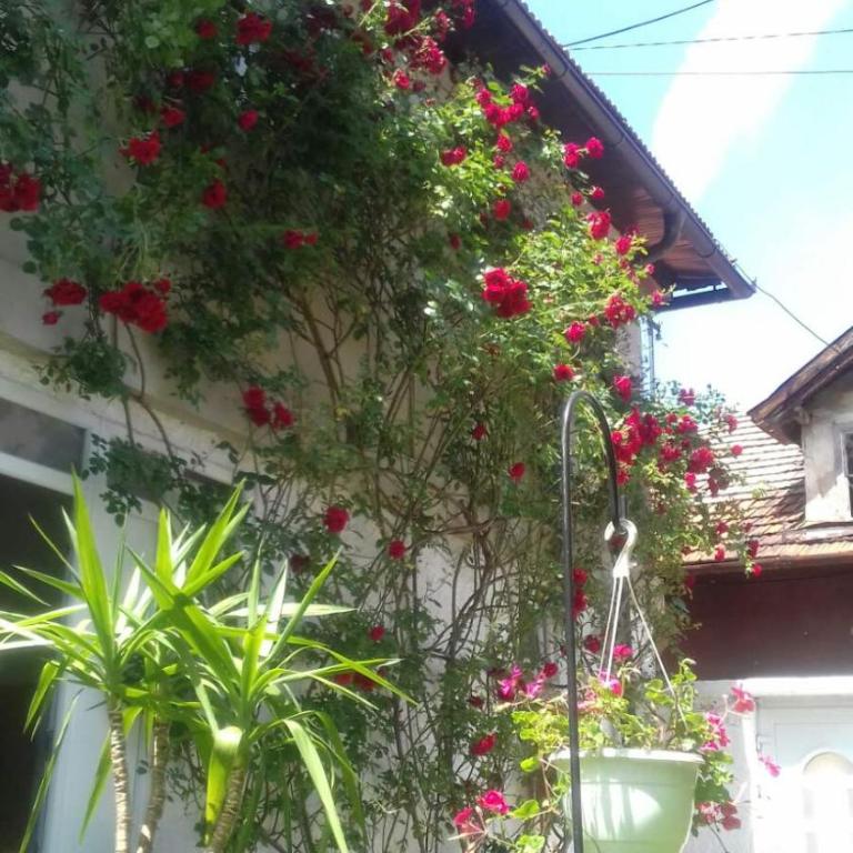 Modern&Cozy Bosnian house with GARDEN+FREE parking - Porodični Apartman Tipa "Suite" - 2