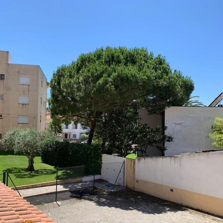 Esperança 13 - Apartamento de 2 dormitorios - 23