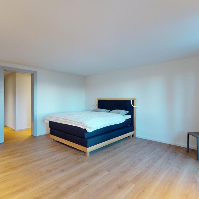 Chalet de l Ours VUE & NATURE Appart Pregny 8 pers - Apartment mit Balkon - 8