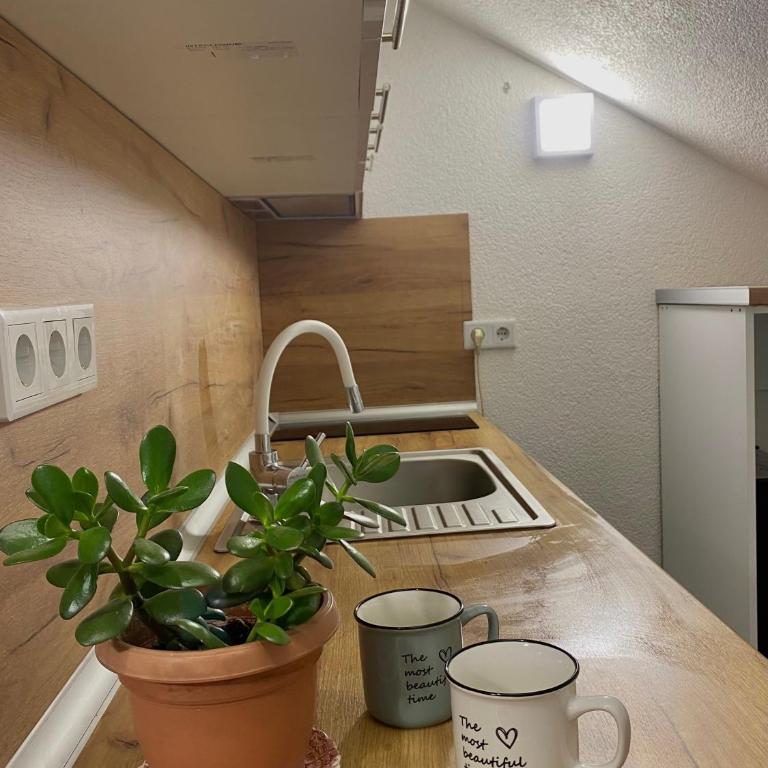 Studio Apartment for two Sarajevo - Apartman sa 1 Spavaćom Sobom - 6