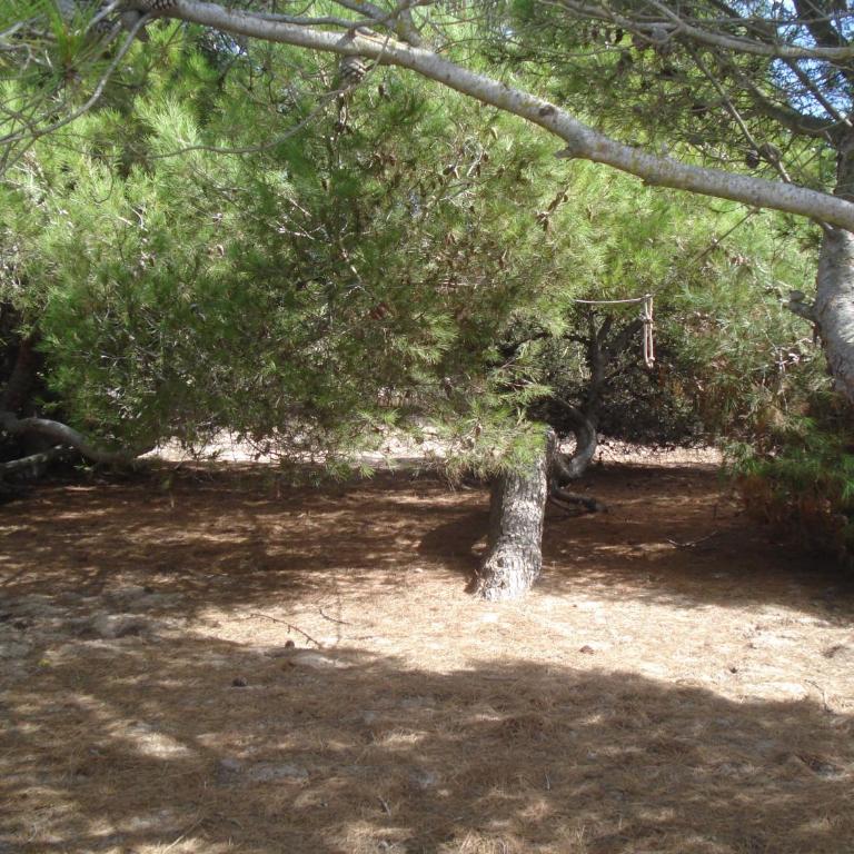 En Finca Las Dunas dos Chalets con jacuzzis en primera linea de playa , uno de 4 dormitorios y otro de 2 dormitorios, Llama al Seiscientos veintisiete Cuatrocientos diecisiete Trescientos noventa y ocho - Bungalow frente a la playa - 17