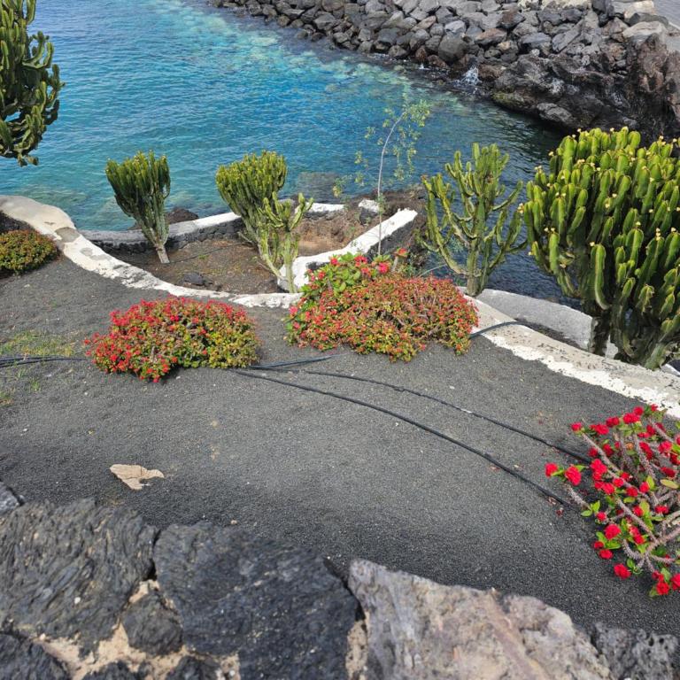Harbour View Suite Lanzarote - Apartamento de 1 dormitorio - 22