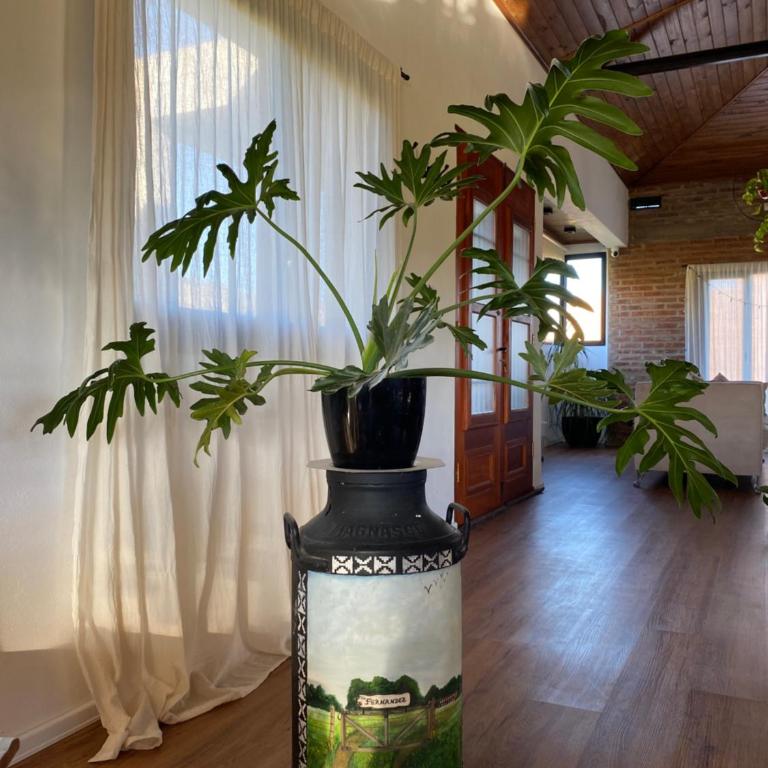 La Pinocha de Ruiz - One-Bedroom House - 11