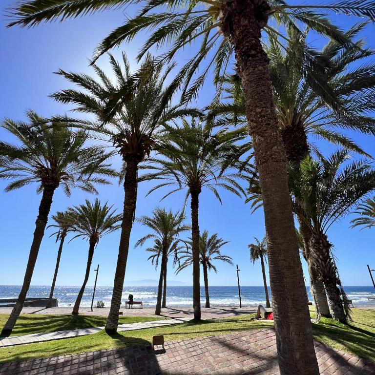 Patio Canario * Beach Escape / 2 rooms, 2 terraces & pool - Apartamento de 2 dormitorios - 46