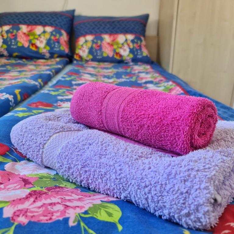 Maja V Apartmani Sokobanja - Apartman sa Dve Spavaće Sobe - 8