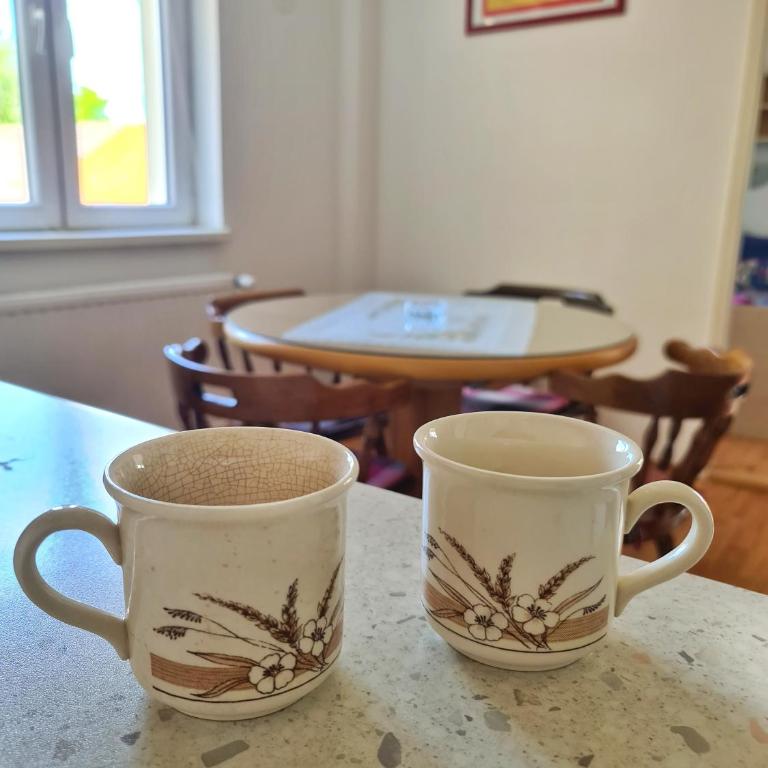 Maja V Apartmani Sokobanja - Apartman sa Dve Spavaće Sobe - 11