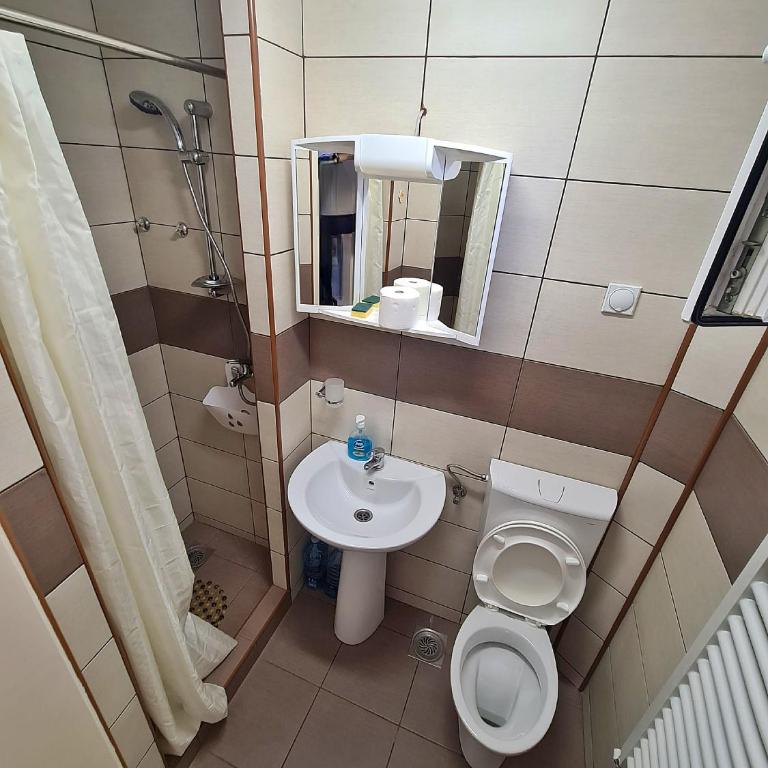 Maja V Apartmani Sokobanja - Jednokrevetna Soba sa Sopstvenim Kupatilom - 7