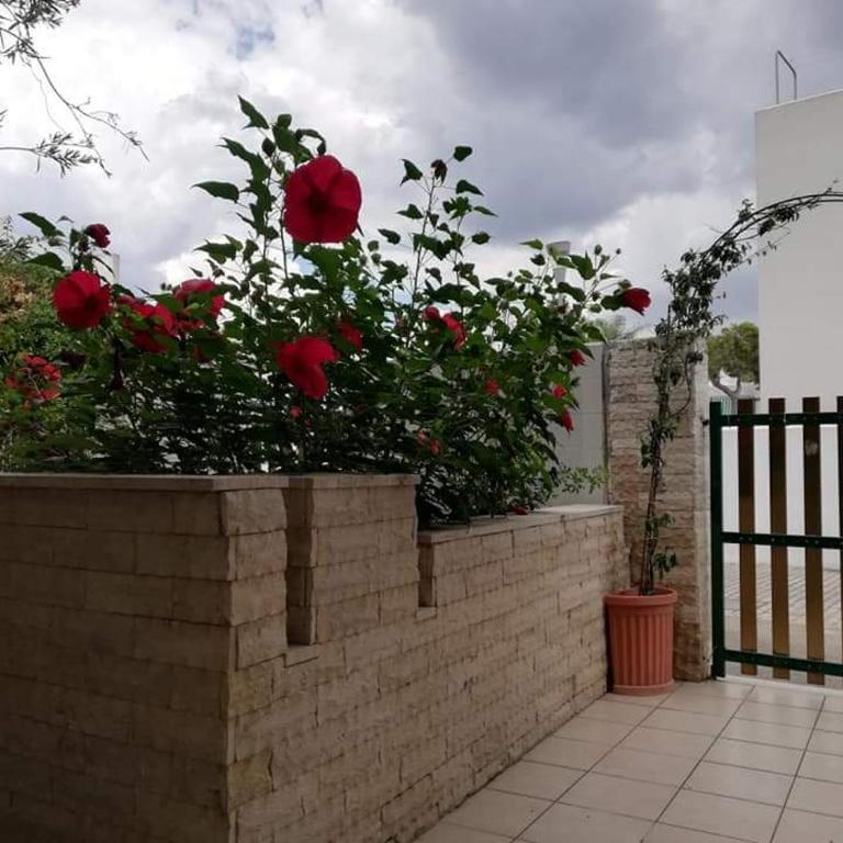 Villino Blue Bay a Baia Verde - WI-FI e parcheggio - Appartamento con 3 Camere da Letto - 3