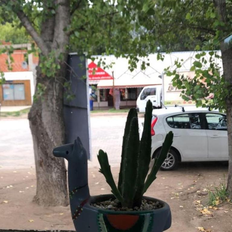 Casa L - Casa de 2 dormitorios - 20
