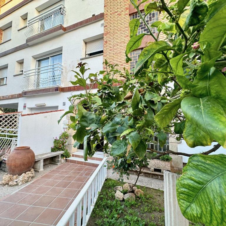 Sea Views Sanatori Beach, Barcelona - Apartamento de 2 dormitorios - 16