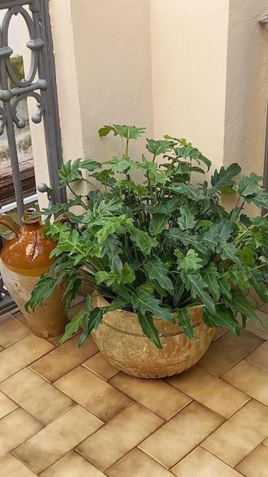 Casa Vacanze Oro Blu Sanremo - Casa con 3 Camere da Letto - 33