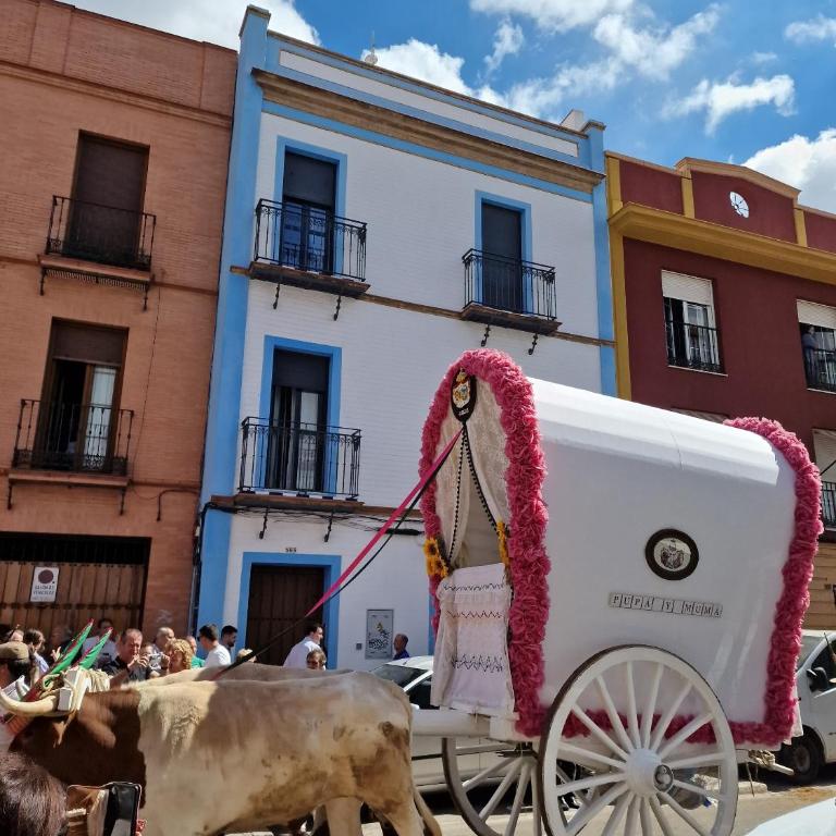 Castilla del Cachorro, Apto de 2 dormitorios en Triana - Apartamento de 2 dormitorios con vistas a la ciudad - 19